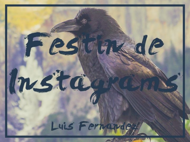 A Song of Seo and Ali: 📷 Festín de Instagrams 📷